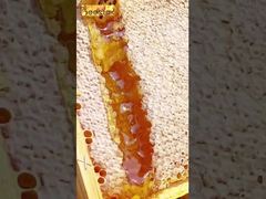 Le moment de guérison du miel, une douceur naturelle qui vous fait craquer en une bouchée