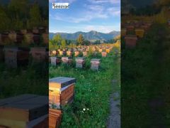 L'ensemble du paysage montagneux s'est transformé en un goût doux et rafraîchissant au bout de la