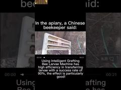 Équipement d'insémination artificielle de l'abeille reine Version standard avec kits pour expérience agricole