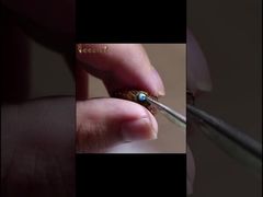 Voir la démonstration d'apiculture pour le transfert intelligent de larves d'abeilles et l'élevage de reines