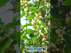 Présentation des Granulés de Pollen d'Abeille Brut Multi-Fleurs en Carton de 25 kg, Complément Alimentaire Pour Vous