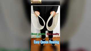 Système d'élevage de reines sans greffe