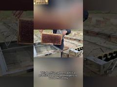 Support de réservoir de miel d'étagère de cadre de ruche