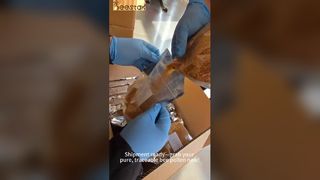 Pollen d'abeille premium : échantillonnage, traçabilité et fraîcheur hermétique