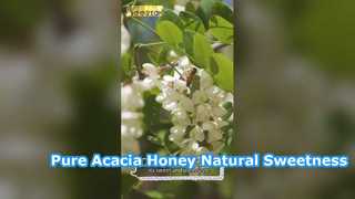 Miel d'Acacia Blanc Pur Douceur Naturelle