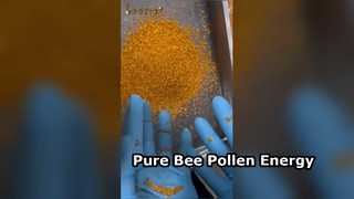 Booster d'énergie naturel au pollen d'abeille pur