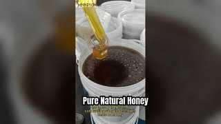 Miel brut pur Miel d'abeille naturel biologique