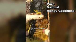 Pourquoi le miel noir est le superaliment ultime pour votre garde-manger