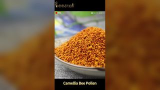 Pollen d'abeille cru biologique, énergie naturelle et bien-être