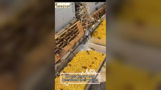 Savez-vous comment le pollen tombe des pattes d'une abeille