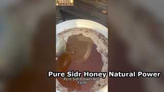 Boost d'énergie naturel au miel pur Sidr
