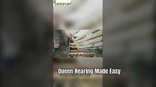 Queen Rearing Cage Collapsible Beekeeping Tool