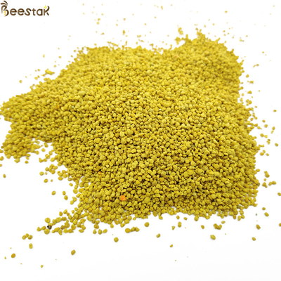 acheter Nouveau grand pollen organique d'abeille de viol de prix usine de produits d'abeille de Granual fabrication en ligne