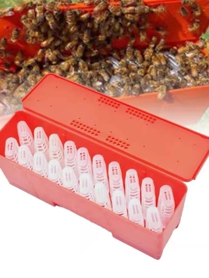 acheter Cage en plastique rouge de reine des abeilles pour la reine des abeilles élevant la cage de reine de l'apiculture de système fabrication en ligne