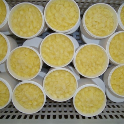 acheter 10-HDA 1,8% biologique Jelly royal frais 100% pur fabrication en ligne
