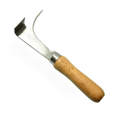 acheter BEESTAR Scraper de ruche en acier inoxydable Outils de ruche avec poignée en bois pour le commerce de gros et l'agriculture fabrication en ligne