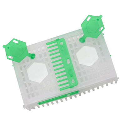 acheter Cage d'élevage en plastique pliable Beestar en gros de haute qualité pour apiculture fabrication en ligne
