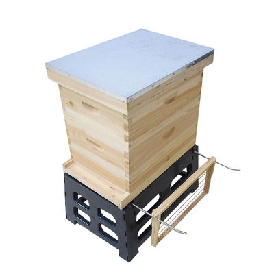 acheter Support de ruche d'abeille de cadre du cadre 10 de l'apiculture 8 fabrication en ligne