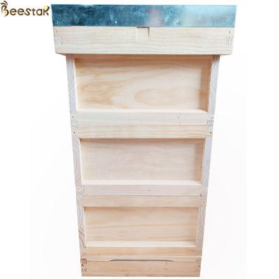 acheter Équipement d'une ruche en bois de style Langstroth pour l'apiculture et l'apiculture fabrication en ligne