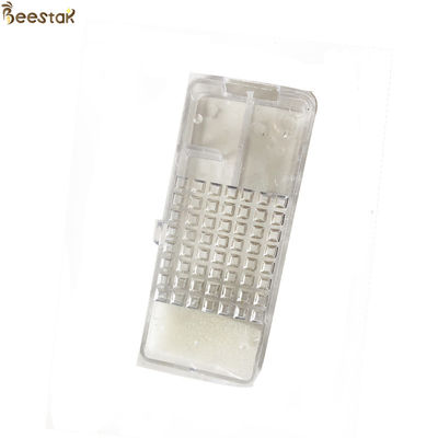 acheter Cage claire transparente de reine des abeilles avec la cage d'introduction de la Reine de mousse pour l'apiculture fabrication en ligne