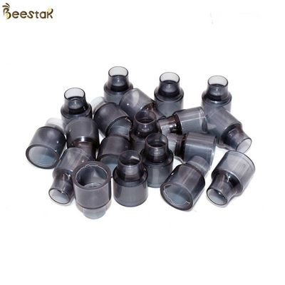 acheter Tasses en plastique de cellules de reine des abeilles de l'apiculture d'apiculture en gros d'outils pour l'apiculture fabrication en ligne