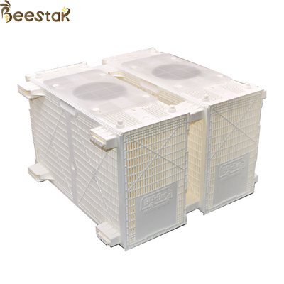 acheter Cage en plastique d'abeille d'installation d'abeille de paquet d'autobus d'abeille d'équipement de ruche fabrication en ligne