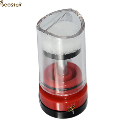 acheter Marqueur Mark Plastic Box Queen Rearing transparent rouge de reine des abeilles fabrication en ligne