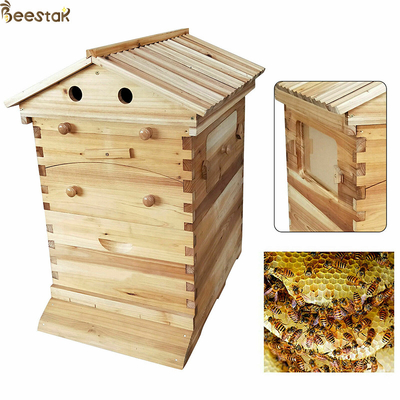 acheter Équipement d'apiculture de ruche automatique d'auto-flux pour l'apiculture fabrication en ligne