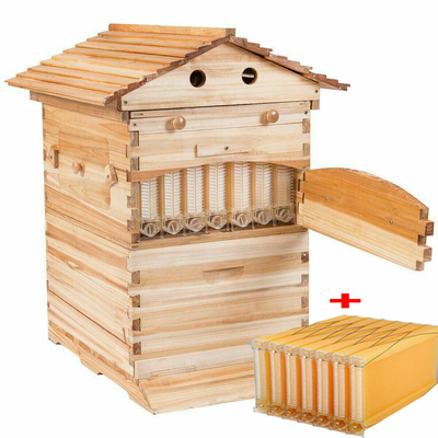 L'abeille Langstroth est une ruche à flux d'abeille avec 7 cadres en plastique.