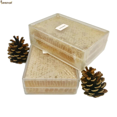 Miel d'abeille naturel 100% naturel et délicieux pour la consommation directe