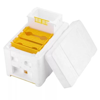 Élevage de accouplement de la Reine de l'apiculture de boîte d'élevage de mousse d'abeille d'équipement à une seule couche de ruche