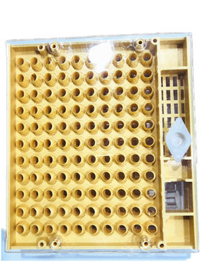Système de kit de gobelets d'élevage de reines en plastique 14,6 cm * 13 cm * 3 cm pour l'élevage de reines d'abeilles