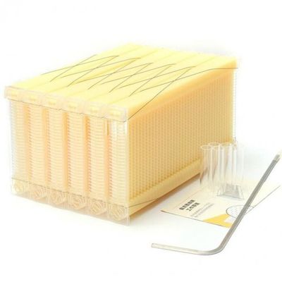 Cadre d'écoulement du miel en plastique de qualité alimentaire 49,5*24,5 cm pour le miel qui coule lui-même dans la ruche d'abeille