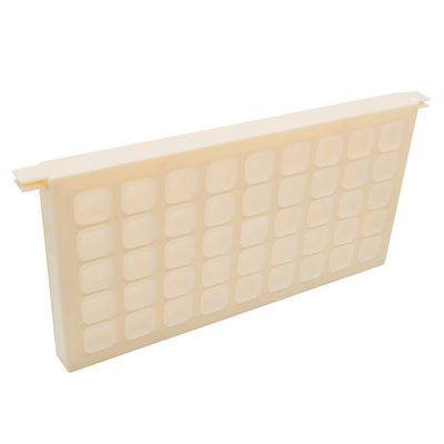 Boîte de rangement en plastique pour reines d'abeilles avec une capacité de 45 reines pour le matériel d'apiculture